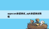 appscan渗透测试_apk渗透测试教程