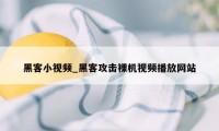 黑客小视频_黑客攻击裸机视频播放网站