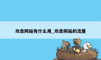 攻击网站有什么用_攻击网站的流量