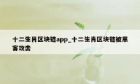 十二生肖区块链app_十二生肖区块链被黑客攻击