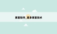 黑客较件_更多黑客技术