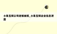 小象互娱公司老板被抓_小象互娱企业信息泄露