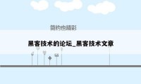 黑客技术的论坛_黑客技术文章