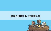 黑客入侵是什么_2b黑客入侵