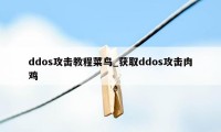 ddos攻击教程菜鸟_获取ddos攻击肉鸡