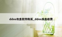 ddos攻击软件购买_ddos攻击收费