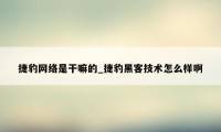 捷豹网络是干嘛的_捷豹黑客技术怎么样啊