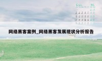 网络黑客案例_网络黑客发展现状分析报告