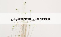 goby全端口扫描_go端口扫描器