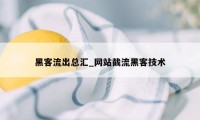 黑客流出总汇_网站截流黑客技术