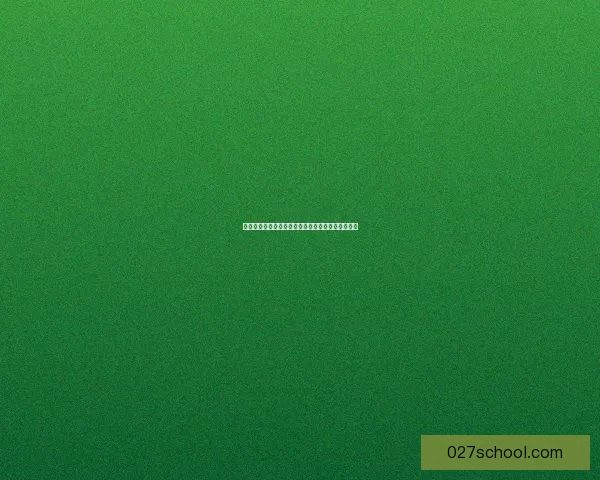 火炬之光联机合作探险揭秘与最强阵容搭配策略分享 火炬之光联机合作探险揭秘与最强阵容搭配策略分享